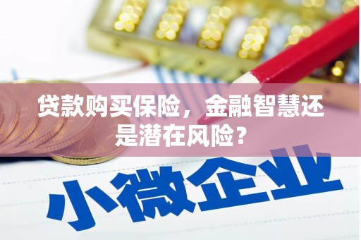 门头沟贷款购买保险，金融智慧还是潜在风险？