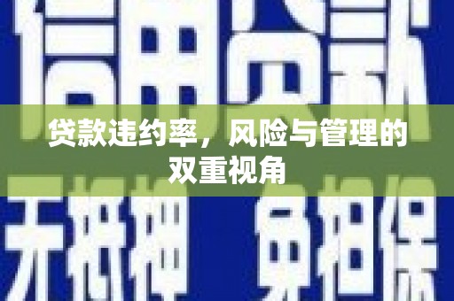 门头沟贷款违约率，风险与管理的双重视角