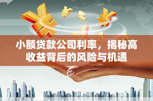 门头沟小额贷款公司利率，揭秘高收益背后的风险与机遇