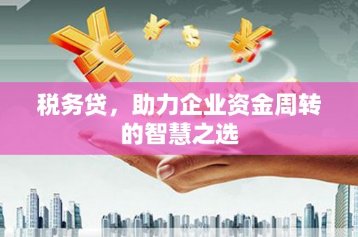 门头沟税务贷，助力企业资金周转的智慧之选