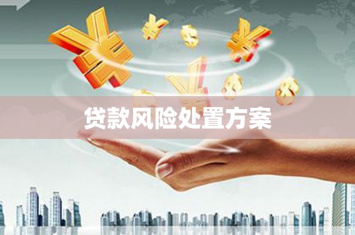 门头沟贷款风险处置方案
