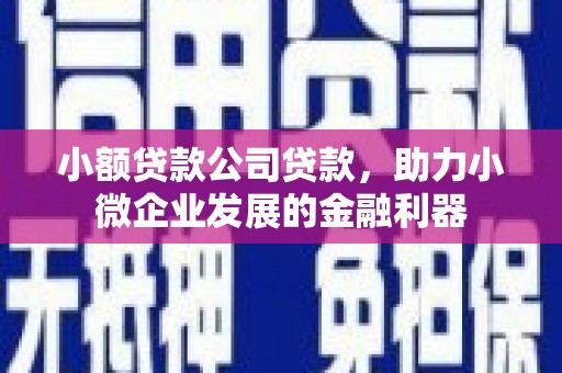 门头沟小额贷款公司贷款，助力小微企业发展的金融利器