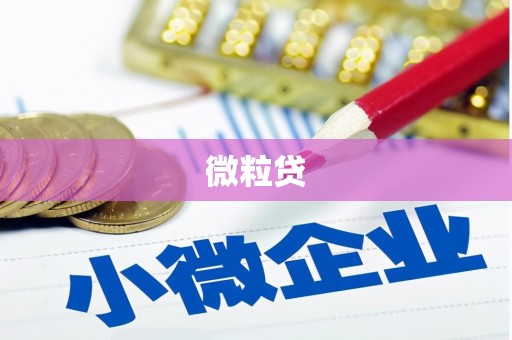 门头沟微粒贷