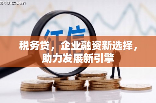 门头沟税务贷，企业融资新选择，助力发展新引擎