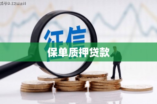 门头沟保单质押贷款