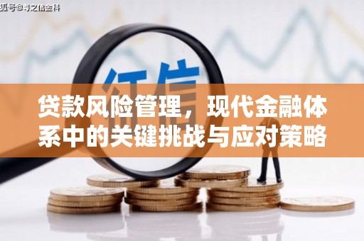 门头沟贷款风险管理，现代金融体系中的关键挑战与应对策略