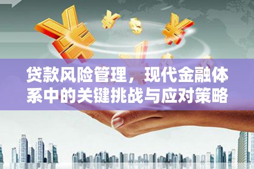 门头沟贷款风险管理，现代金融体系中的关键挑战与应对策略