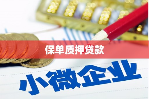 门头沟保单质押贷款