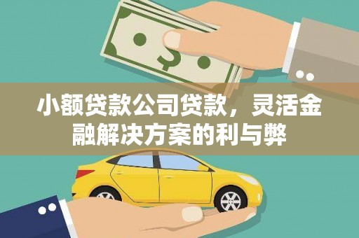 门头沟小额贷款公司贷款，灵活金融解决方案的利与弊